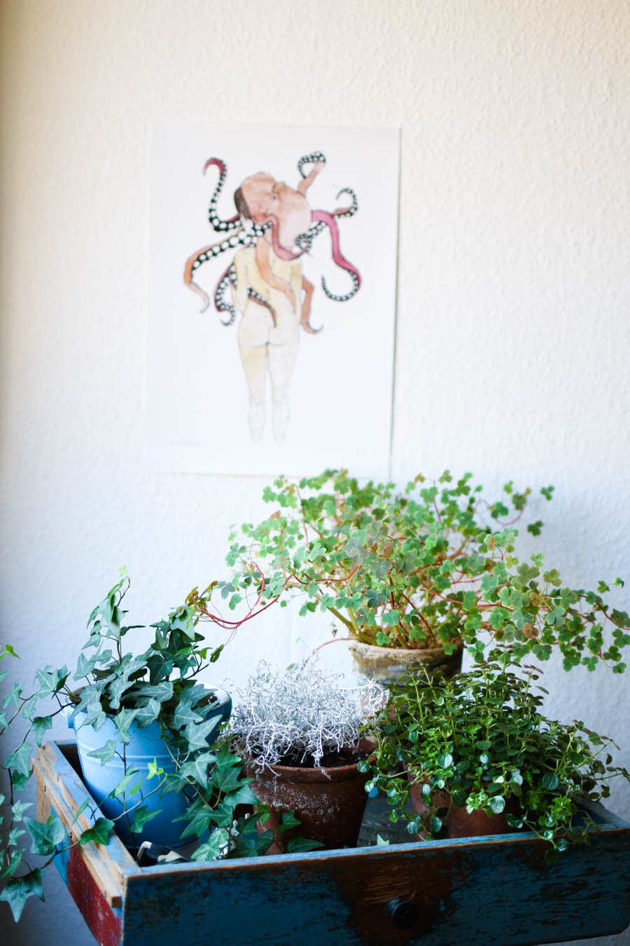 plant mania marie my nemesis babe interior inspiration-1